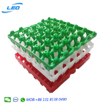 Best price chicken egg tray plastic egg tray for chicken and duck